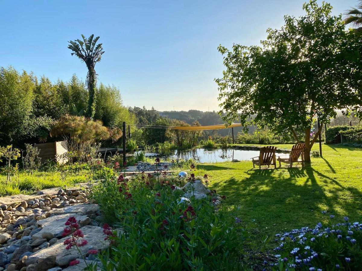 Vida-Vi, Country House And B&B Carvalhal Bemfeito Exterior photo